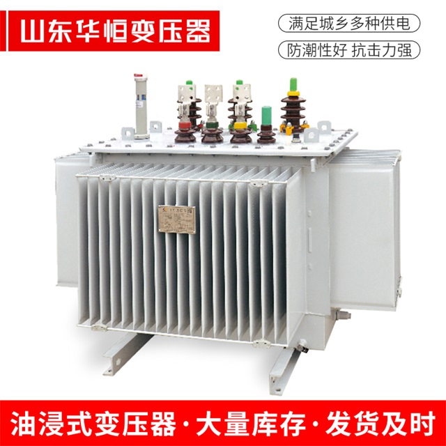 S13-10000/35定远定远定远电力变压器