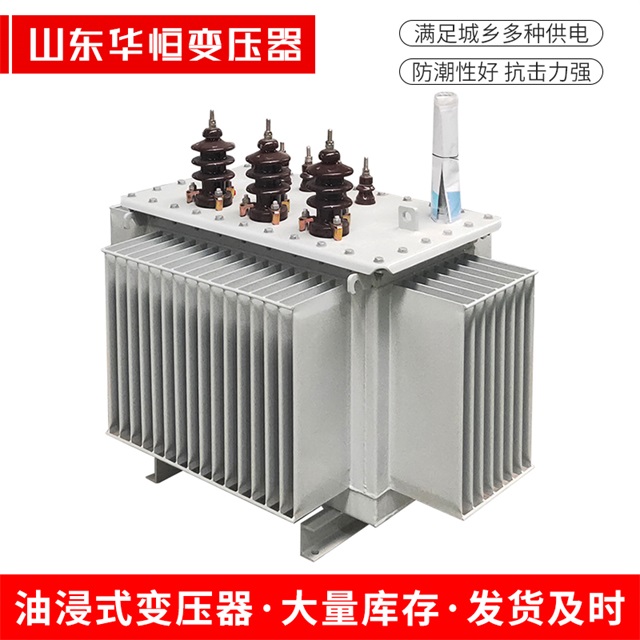 S13-10000/35定远定远定远油浸式变压器厂家
